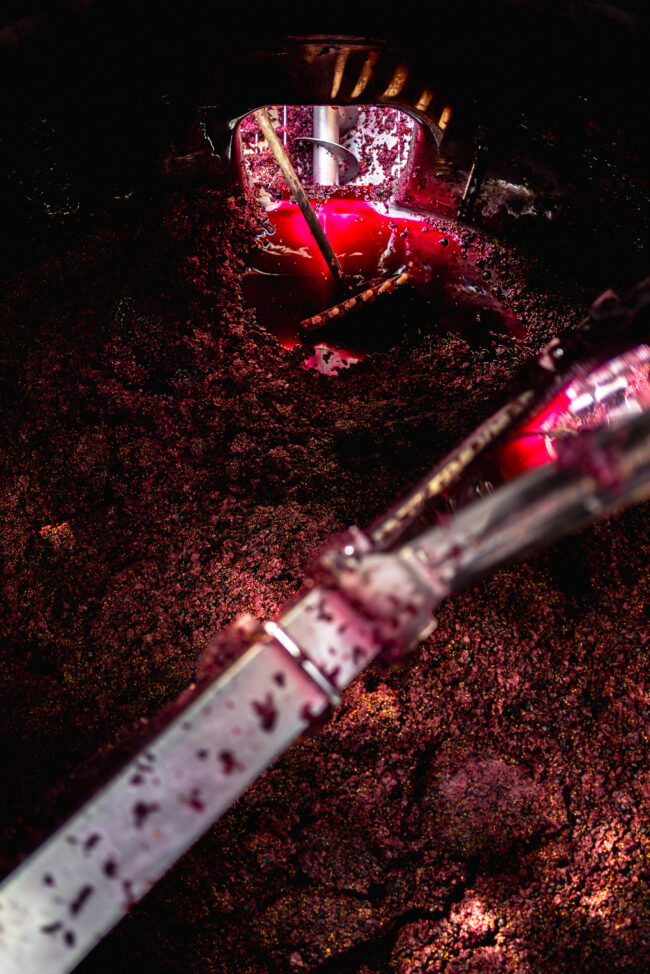 Azienda Vitivinicola Ancona, Vista dall'Interno di una Vasca durante la Svinatura, Catturando l'Essenza e l'Intensità di Questo Cruciale Processo Vinicolo.
