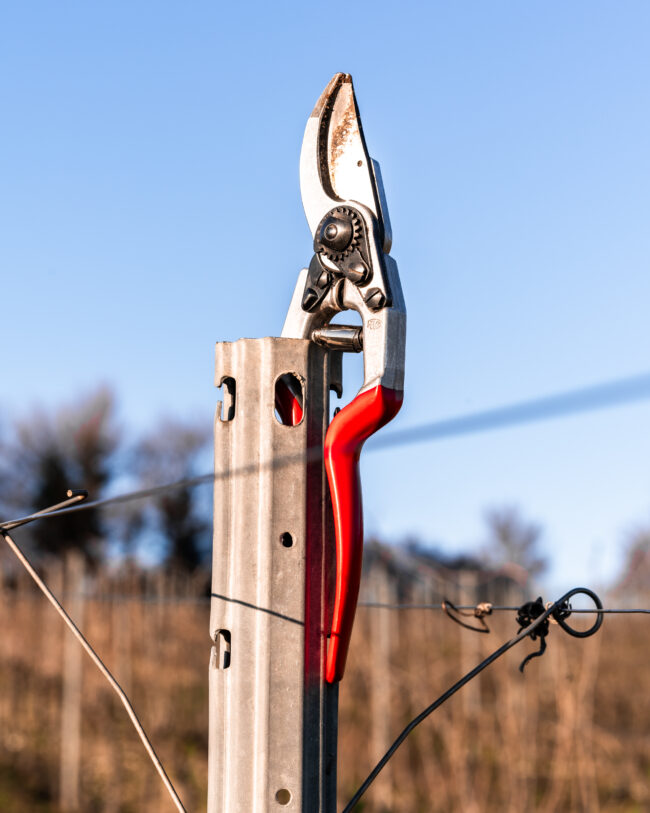 Cesoie Felco Appoggiate su un Palo, Un'Immagine Suggestiva di Attrezzi Agricoli in Riposo Durante la Stagione Fredda.
