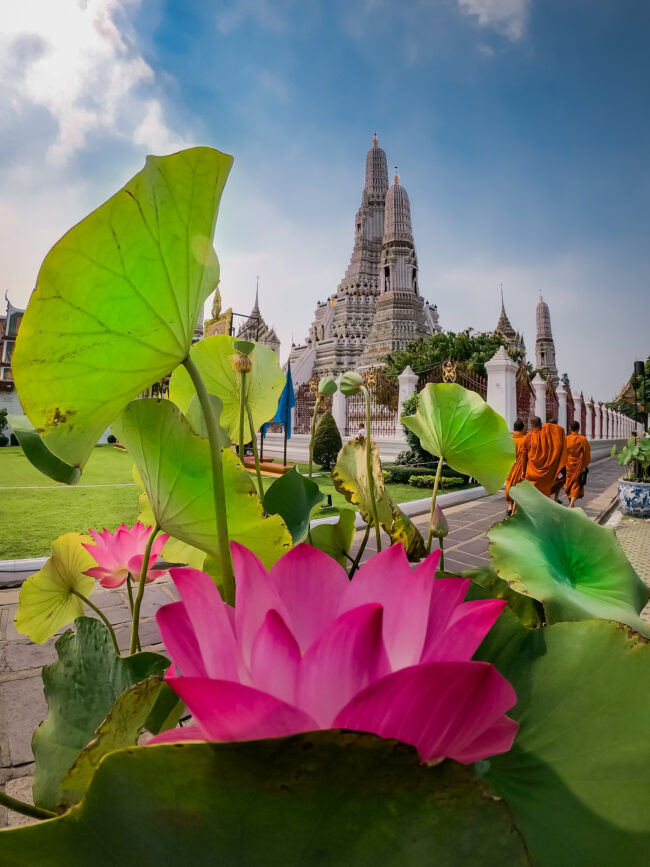 Scena Magica al Santuario del Pilastro a Bangkok: Santuario Illuminato dal Sole sullo Sfondo, Primo Piano Fiori di Loto e affianco Monaci che Passeggiano, Serenità e la Spiritualità.