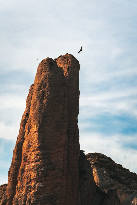 Aquila in Volo tra le Montagne di Mallos de Riglos: Spettacolare Incontro con la Natura durante un Viaggio Indimenticabile.